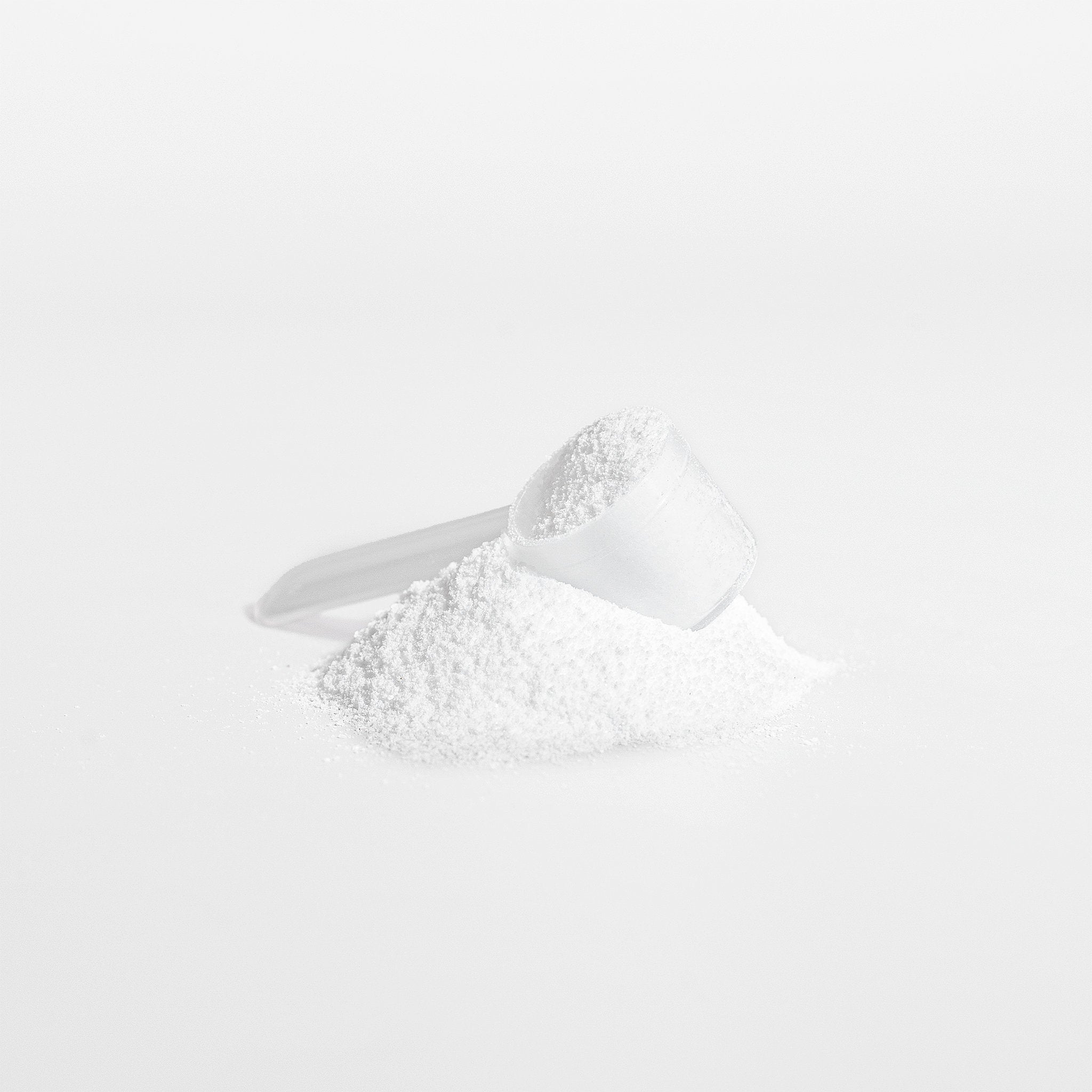 Creatine Monohydrate Powder, 8.8 oz