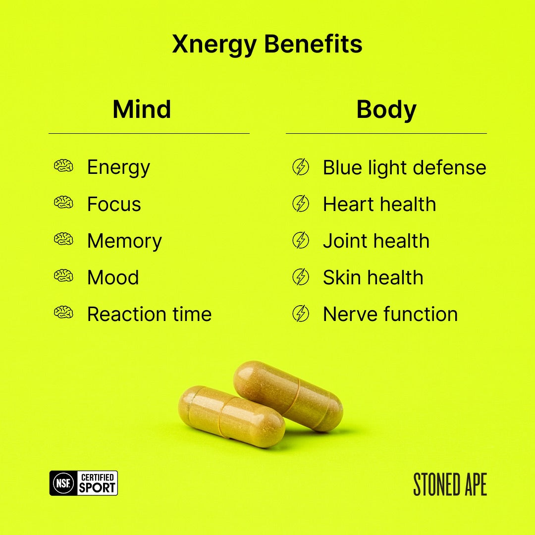 Xnergy: A.M. Nootropic for Calm Energy, Focus & Motivation